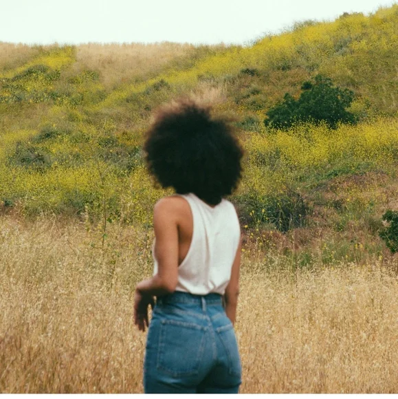 imogene + willie Blue High Rise Women Jeans - Picture 5 of 15